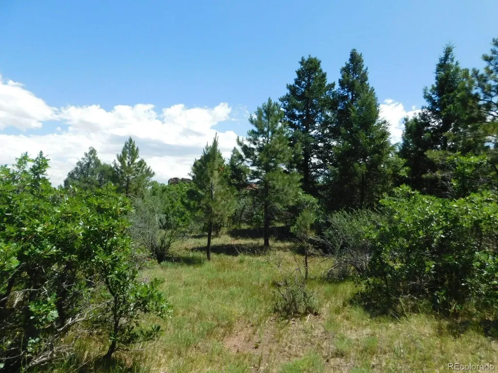 6447 Thunderbird Road Larkspur CO 80118