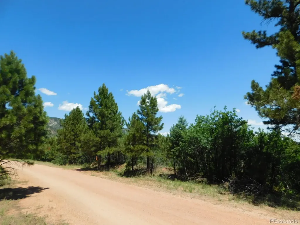6447 Thunderbird Road Larkspur CO 80118