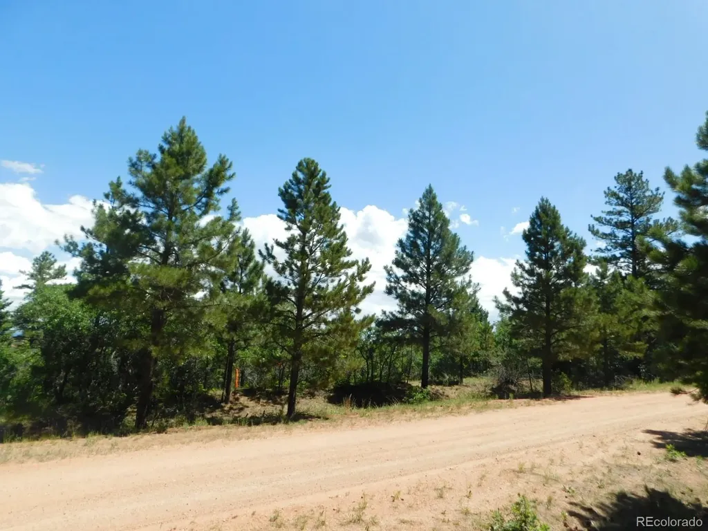 6447 Thunderbird Road Larkspur CO 80118