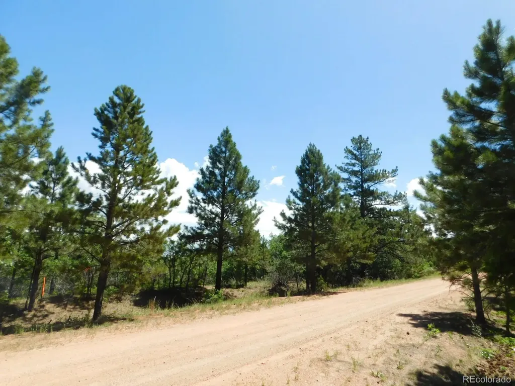 6447 Thunderbird Road Larkspur CO 80118