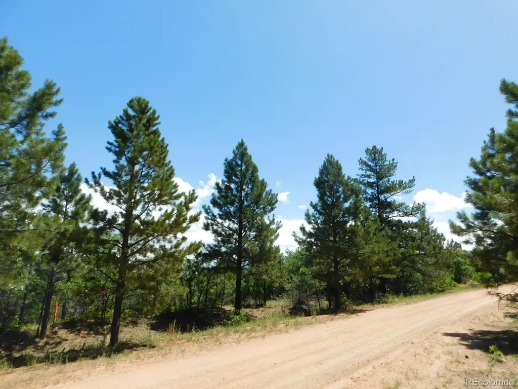 6447 Thunderbird Road Larkspur CO 80118