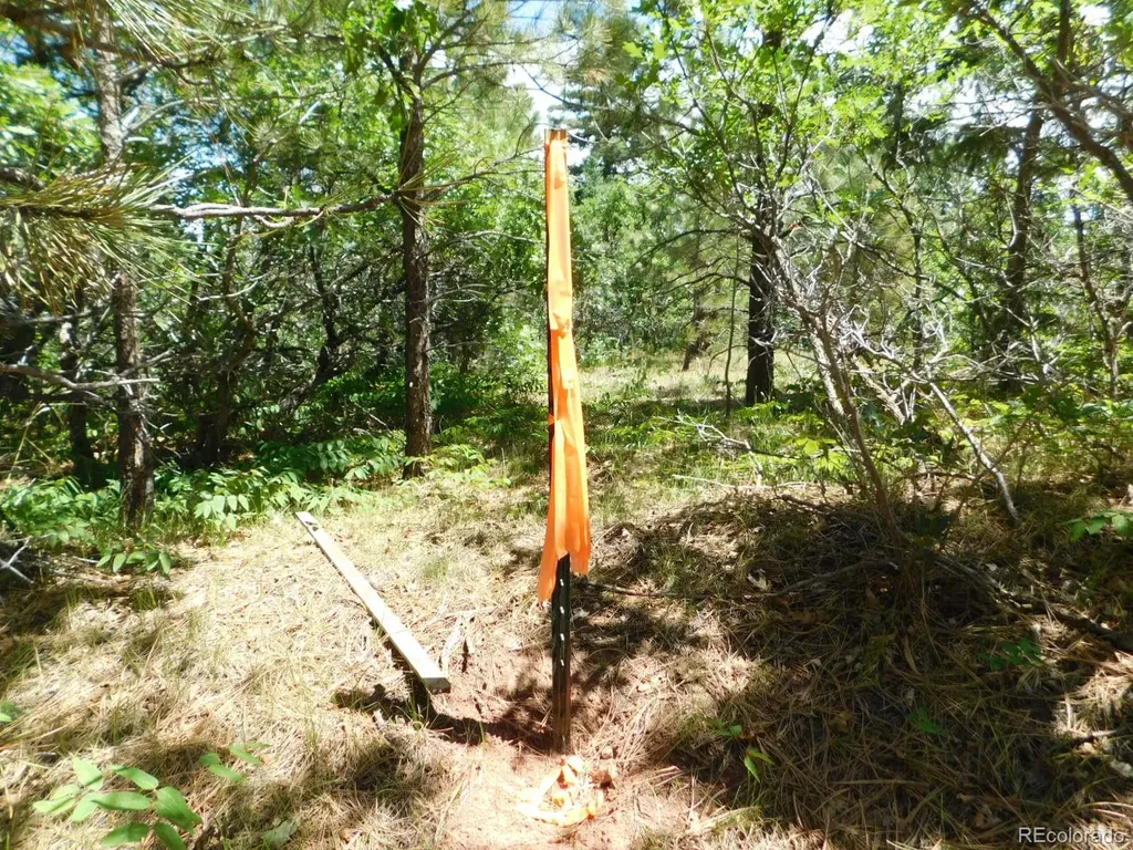 6447 Thunderbird Road Larkspur CO 80118