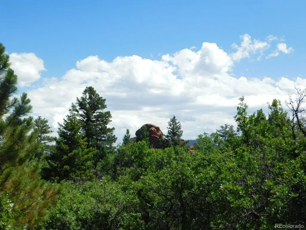 6447 Thunderbird Road Larkspur CO 80118