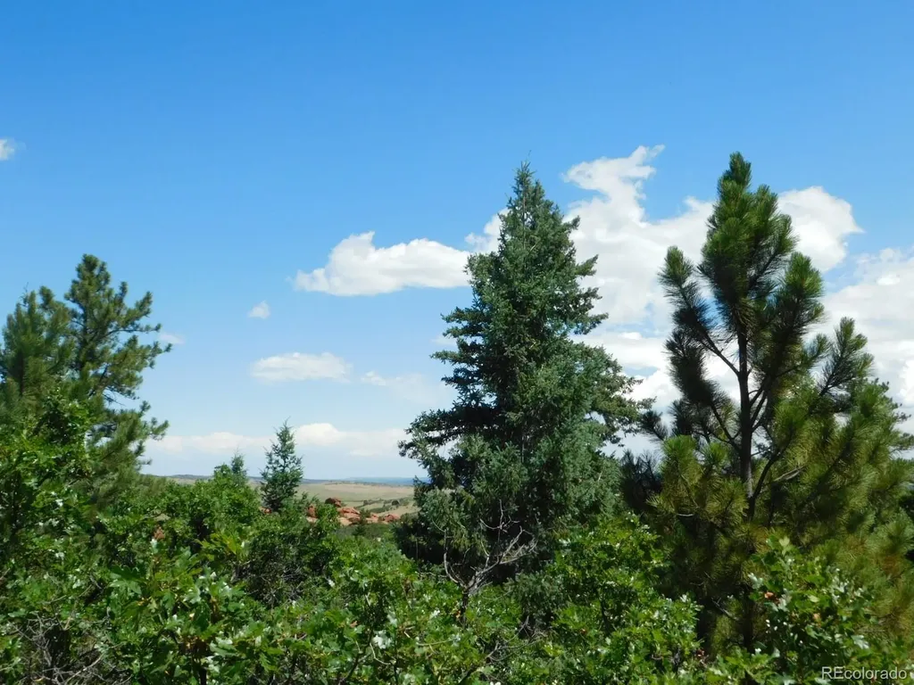 6447 Thunderbird Road Larkspur CO 80118