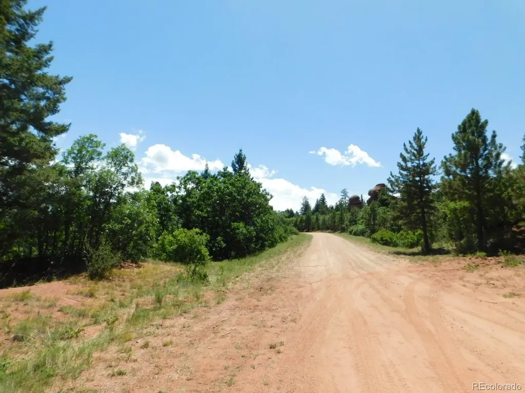 6447 Thunderbird Road Larkspur CO 80118