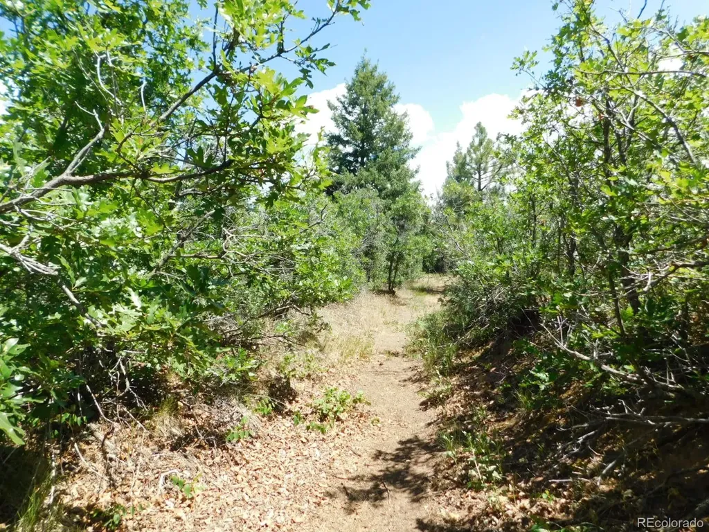 6447 Thunderbird Road Larkspur CO 80118