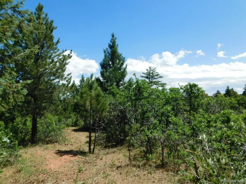 6447 Thunderbird Road Larkspur CO 80118
