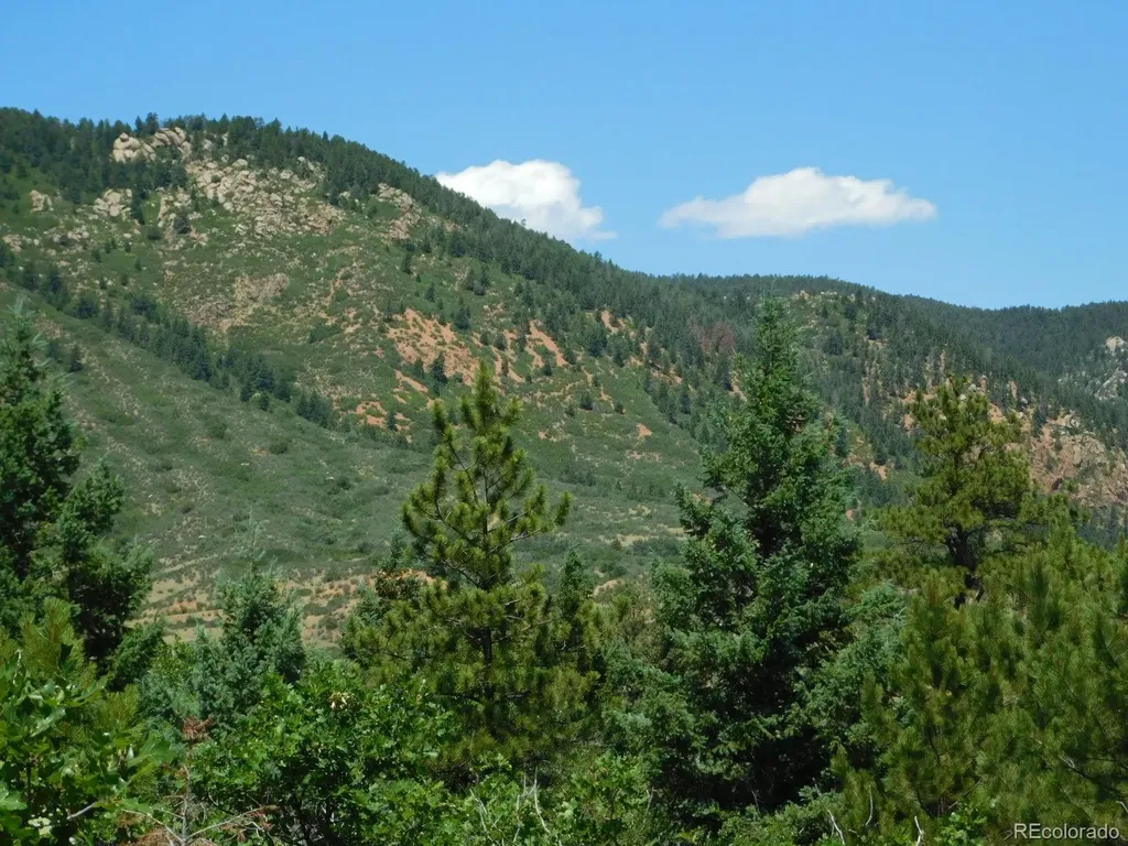 6447 Thunderbird Road Larkspur CO 80118