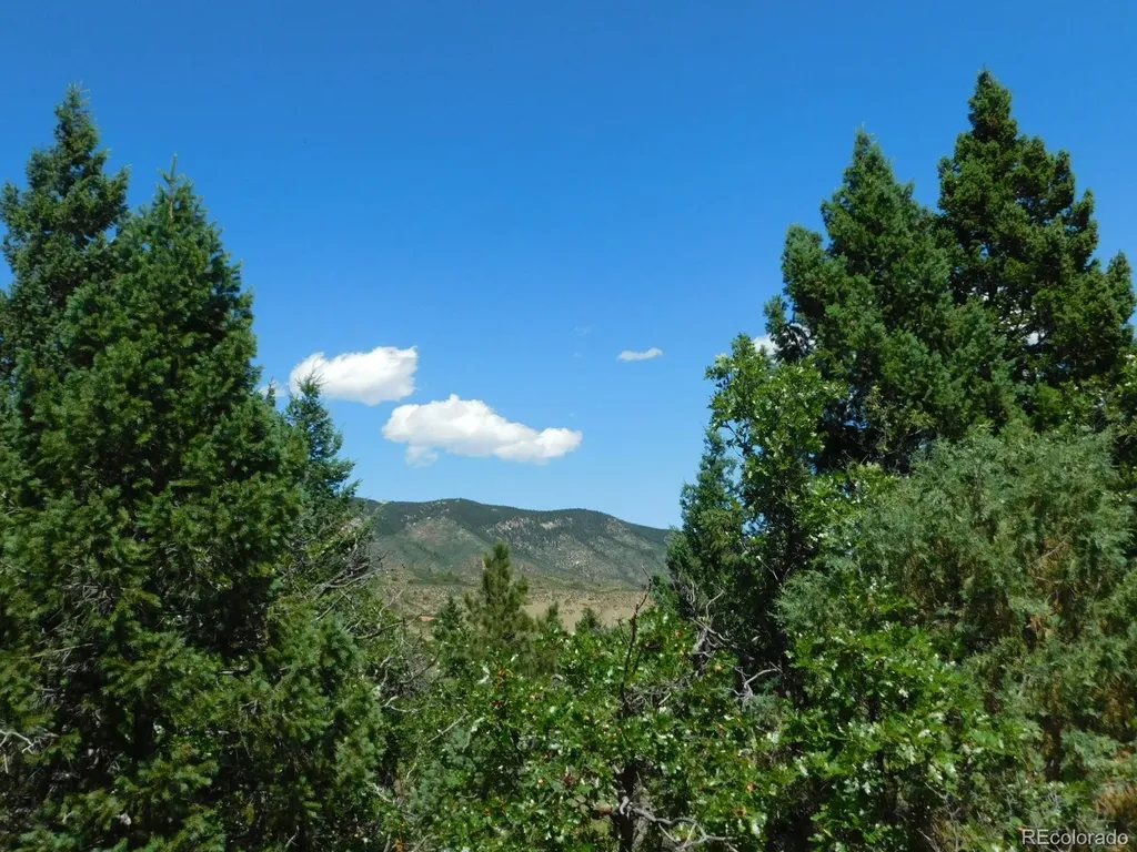 6447 Thunderbird Road Larkspur CO 80118