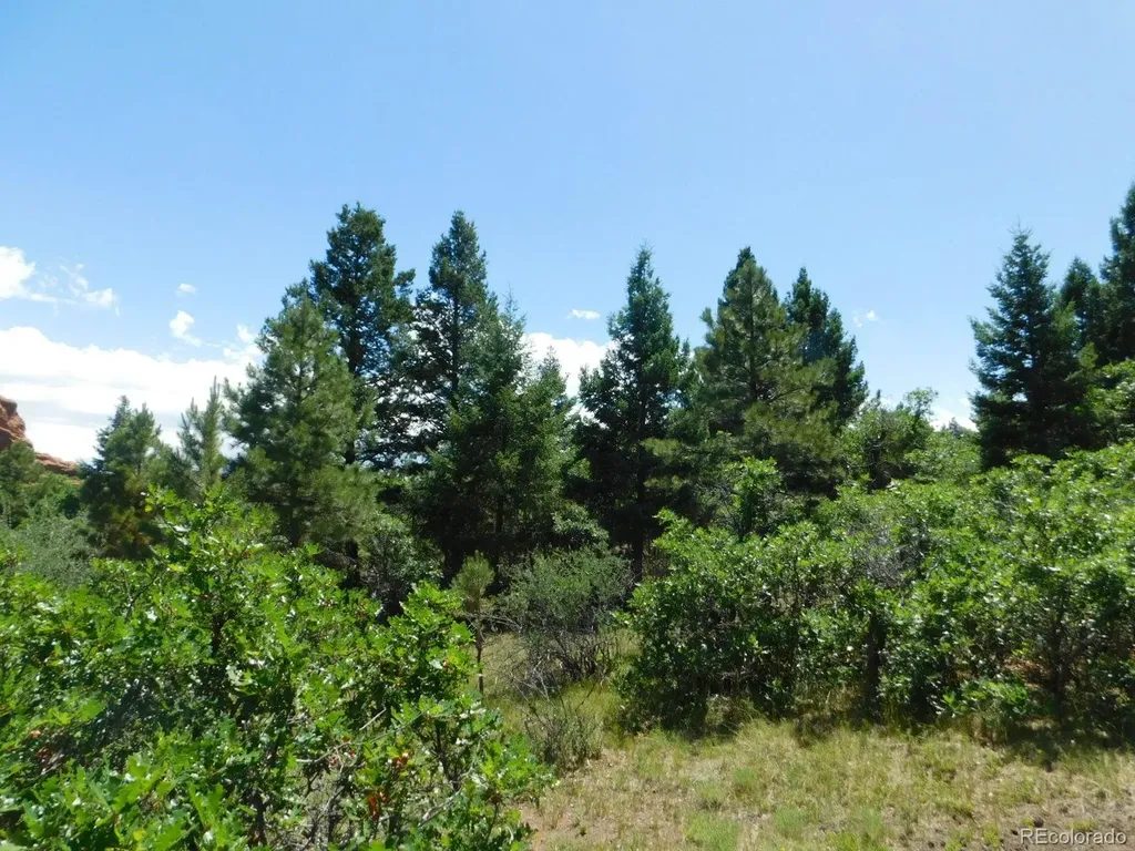 6447 Thunderbird Road Larkspur CO 80118