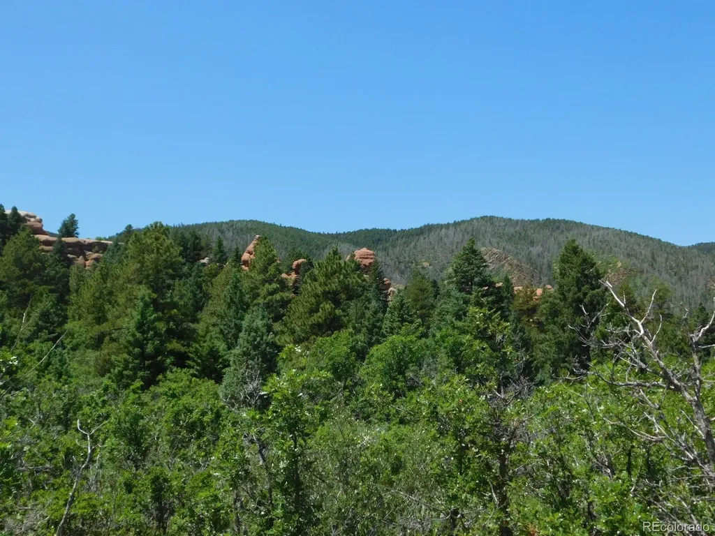 6447 Thunderbird Road Larkspur CO 80118
