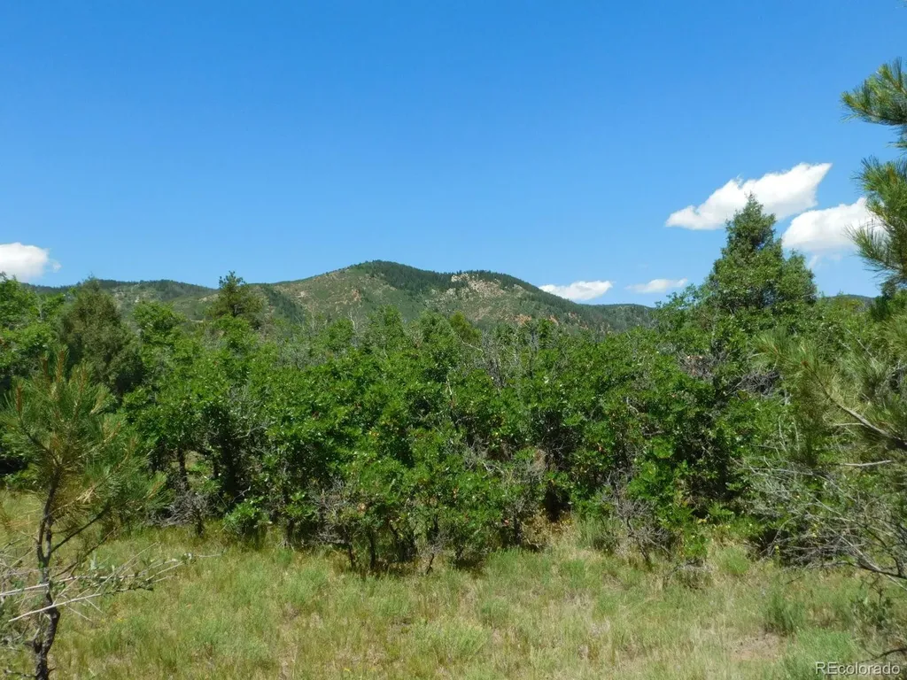 6447 Thunderbird Road Larkspur CO 80118