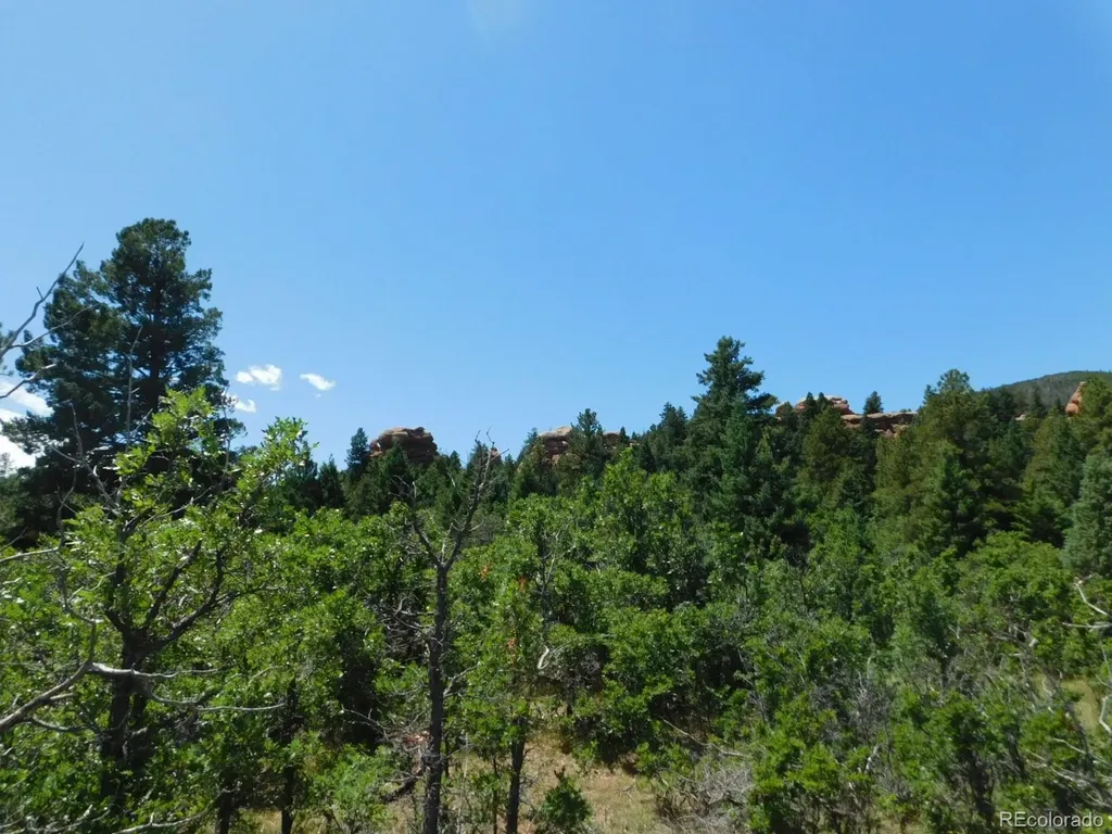 6447 Thunderbird Road Larkspur CO 80118