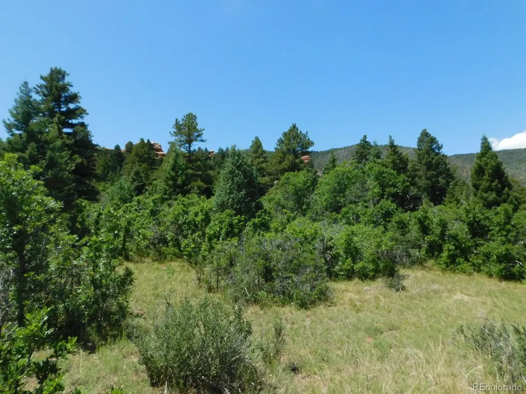 6447 Thunderbird Road Larkspur CO 80118