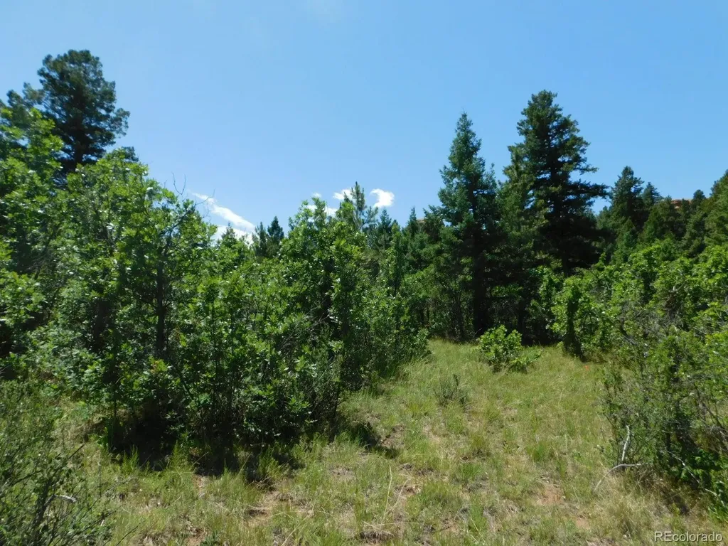 6447 Thunderbird Road Larkspur CO 80118