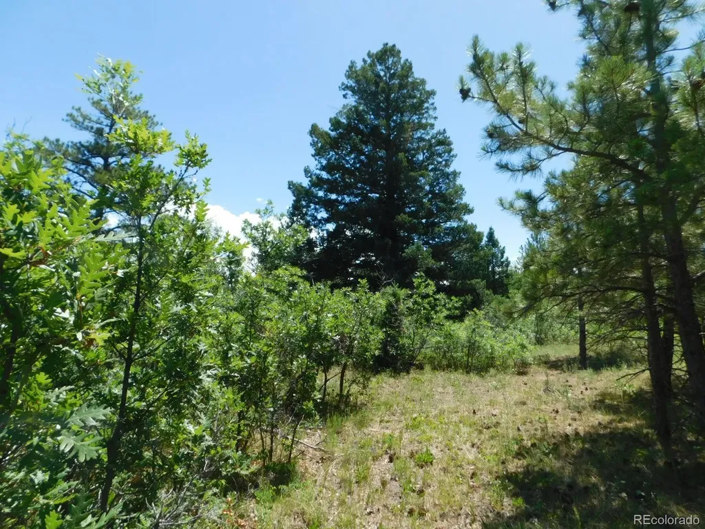 6447 Thunderbird Road Larkspur CO 80118