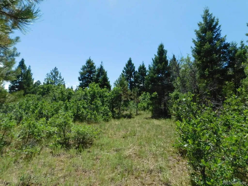 6447 Thunderbird Road Larkspur CO 80118