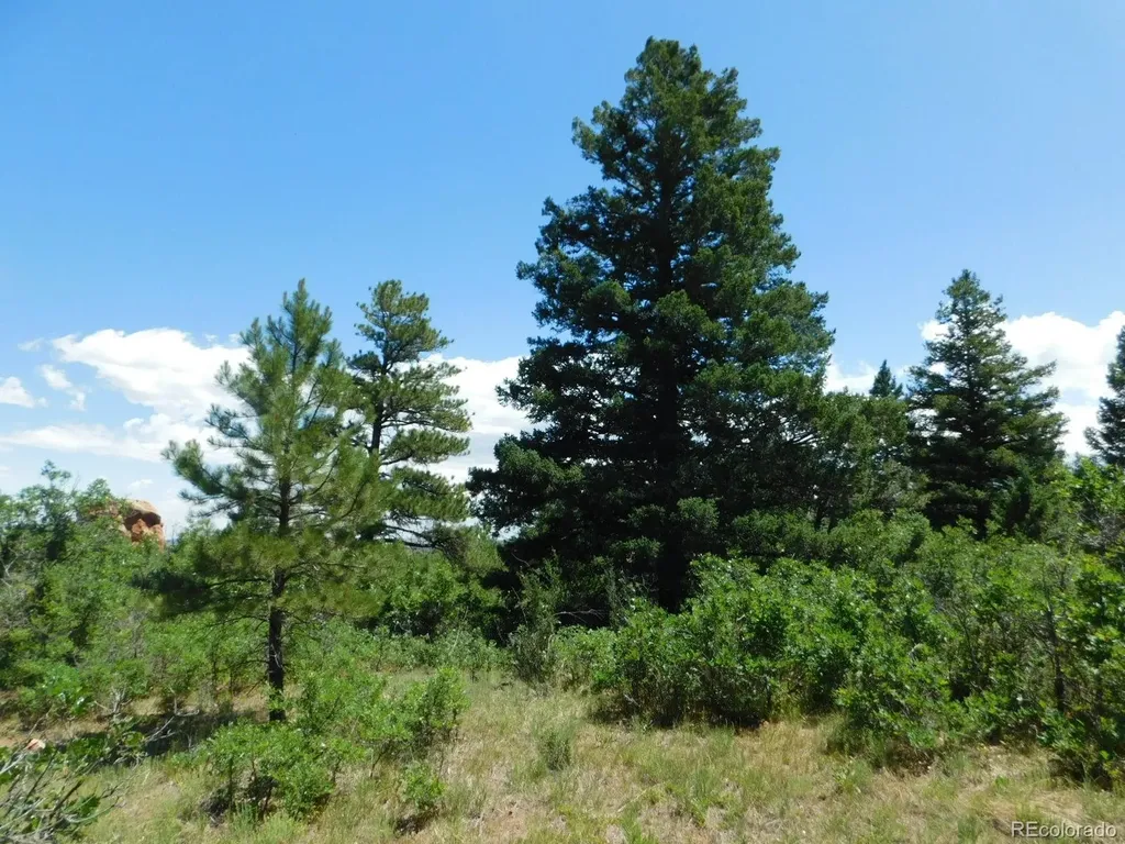 6447 Thunderbird Road Larkspur CO 80118