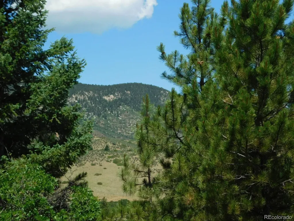 6447 Thunderbird Road Larkspur CO 80118