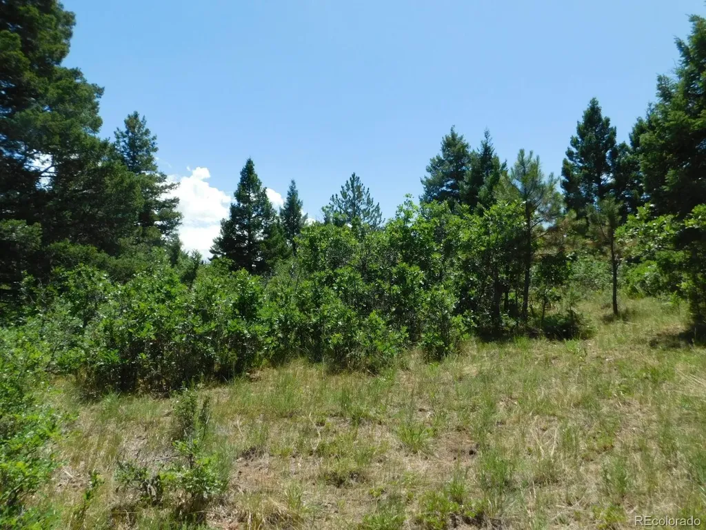 6447 Thunderbird Road Larkspur CO 80118