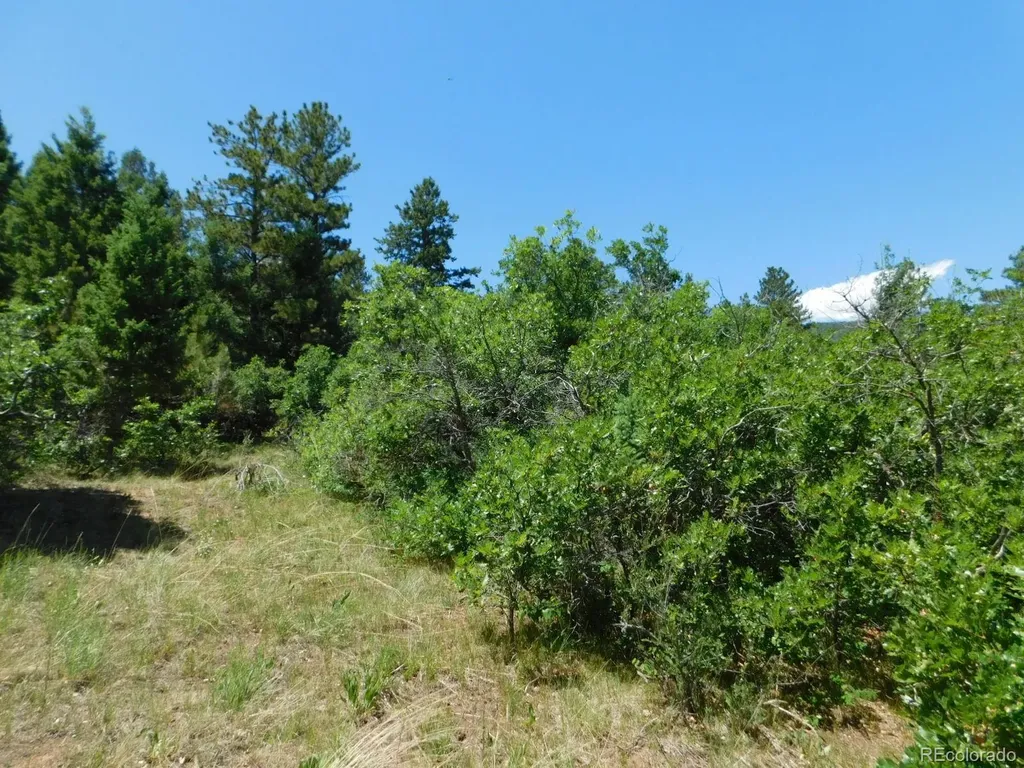6447 Thunderbird Road Larkspur CO 80118