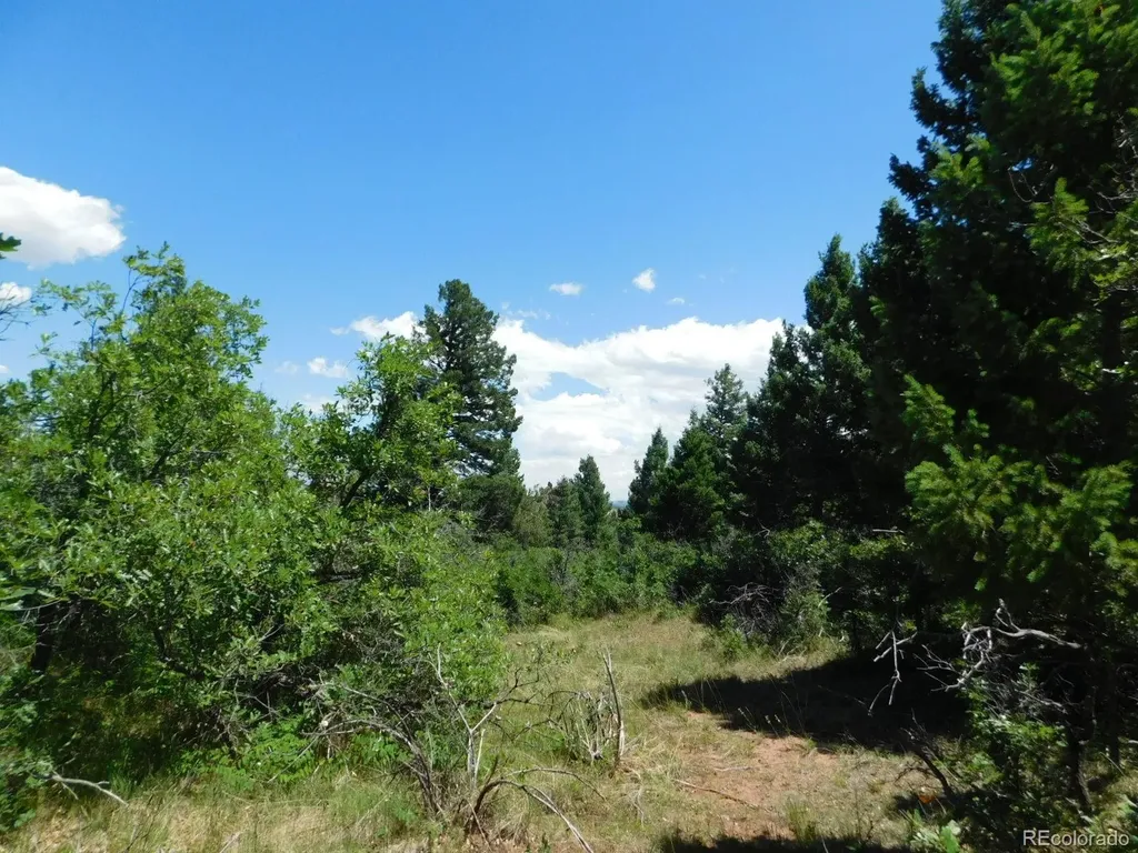 6447 Thunderbird Road Larkspur CO 80118