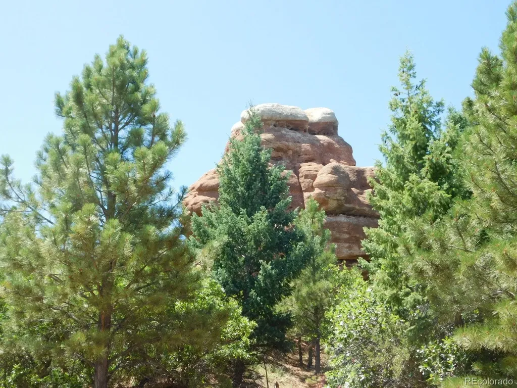6447 Thunderbird Road Larkspur CO 80118