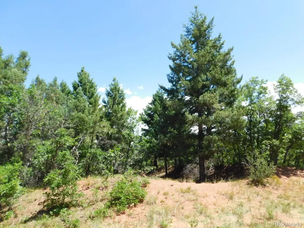 6447 Thunderbird Road Larkspur CO 80118