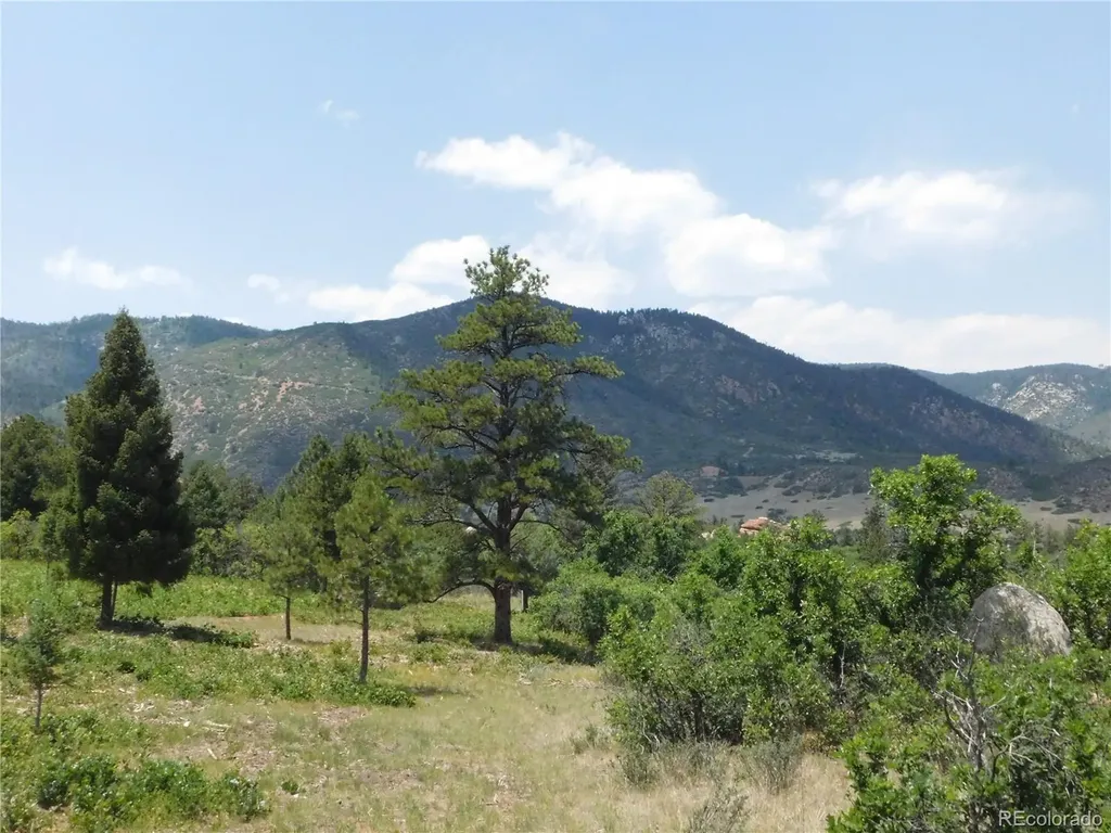 6447 Thunderbird Road Larkspur CO 80118