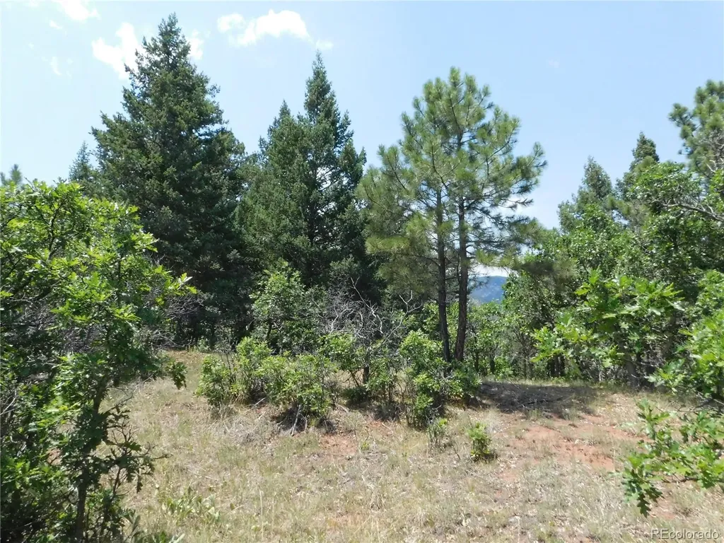 6447 Thunderbird Road Larkspur CO 80118