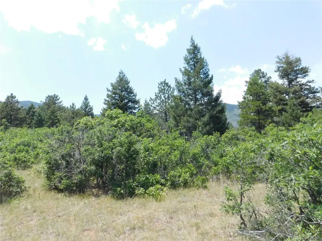 6447 Thunderbird Road Larkspur CO 80118