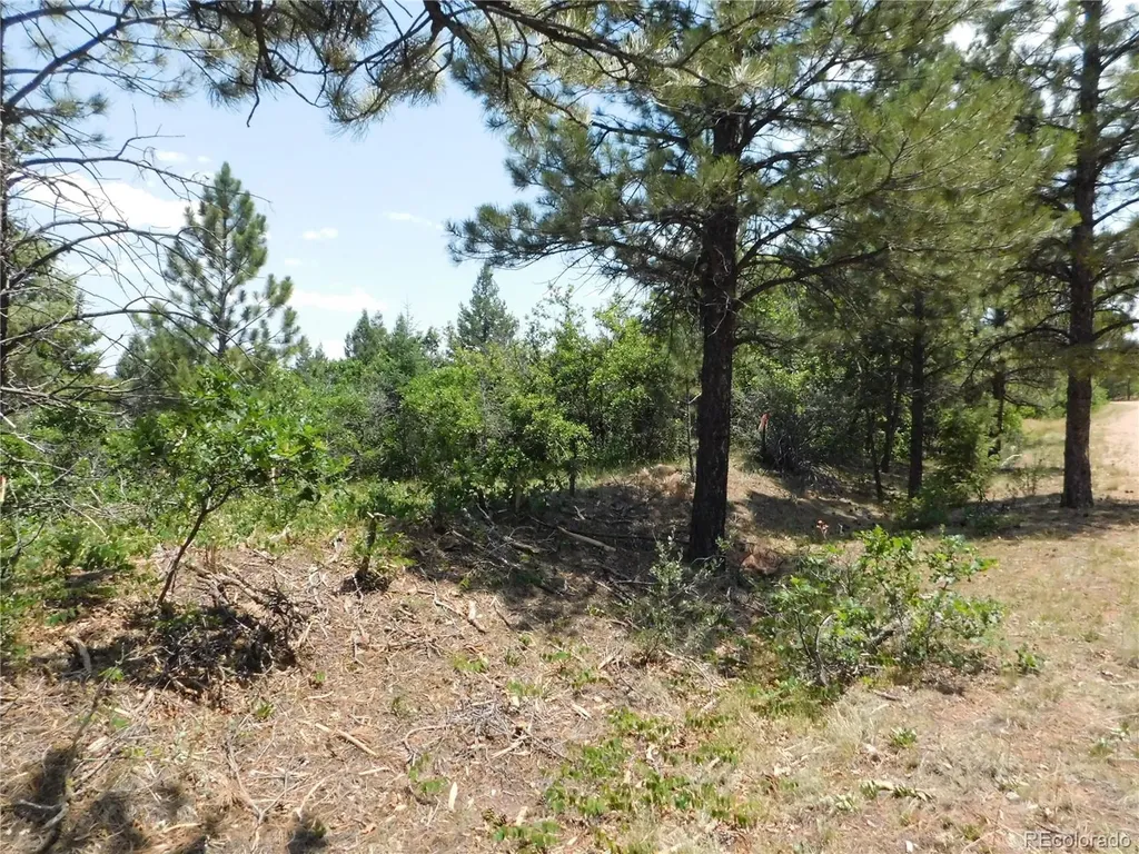 6447 Thunderbird Road Larkspur CO 80118