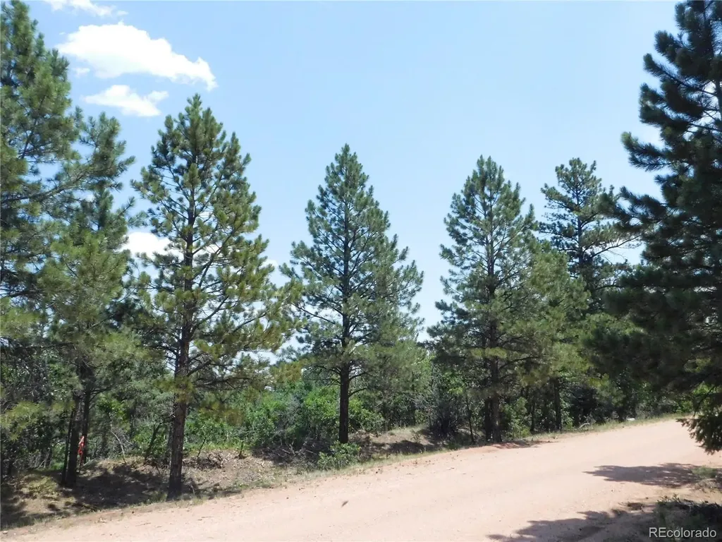 6447 Thunderbird Road Larkspur CO 80118