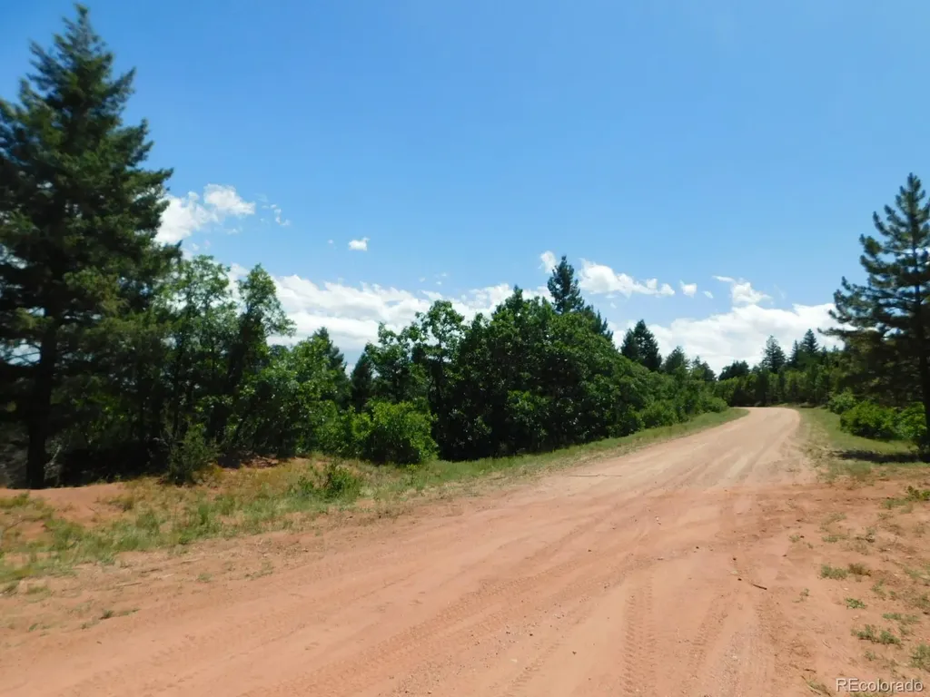 6447 Thunderbird Road Larkspur CO 80118