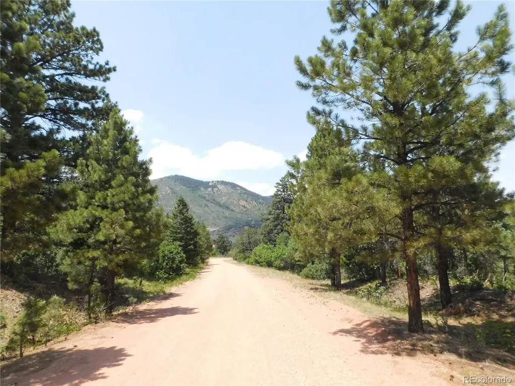 6447 Thunderbird Road Larkspur CO 80118