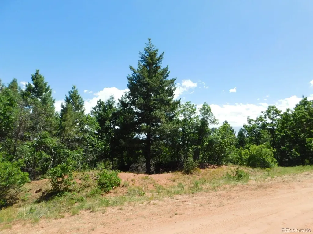 6447 Thunderbird Road Larkspur CO 80118
