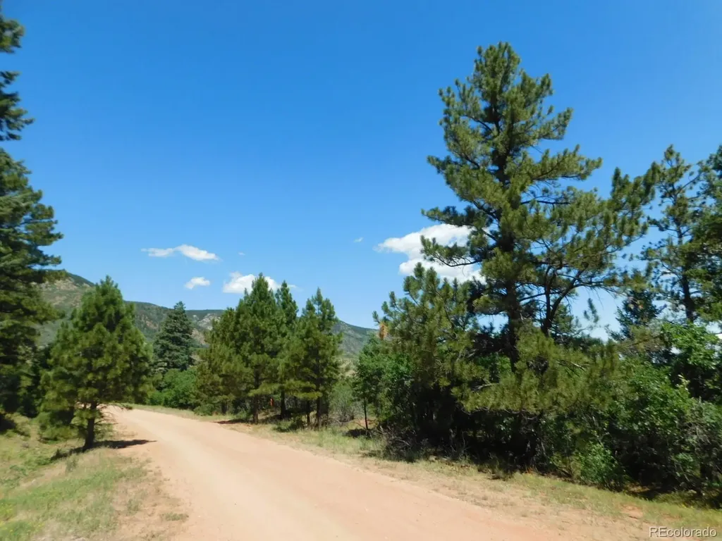 6447 Thunderbird Road Larkspur CO 80118
