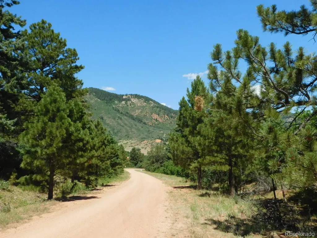 6447 Thunderbird Road Larkspur CO 80118