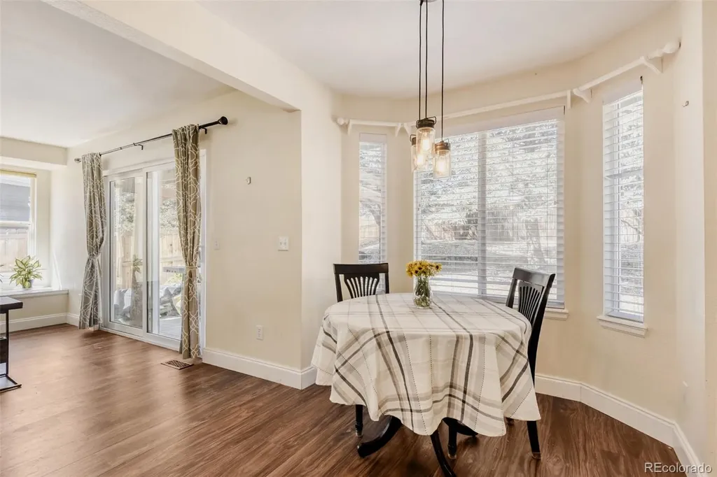 10047 Andrush Court Lone Tree CO 80124