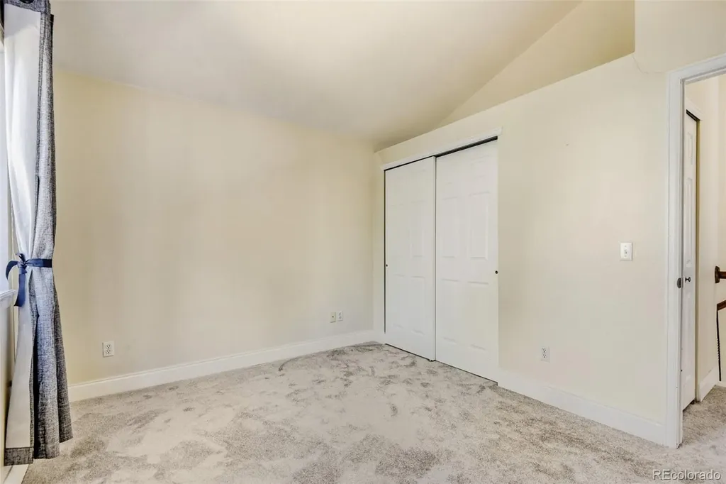 10047 Andrush Court Lone Tree CO 80124