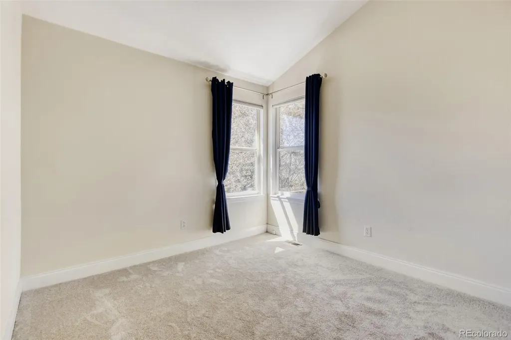 10047 Andrush Court Lone Tree CO 80124