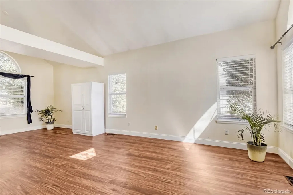 10047 Andrush Court Lone Tree CO 80124