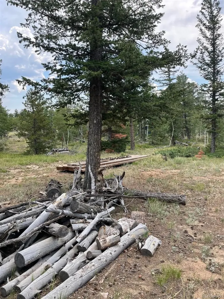 247 Sutiki Drive Red Feather Lakes CO 80545