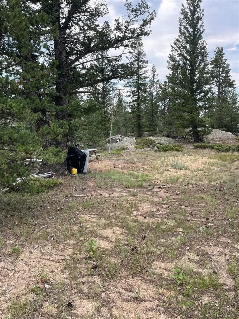 247 Sutiki Drive Red Feather Lakes CO 80545