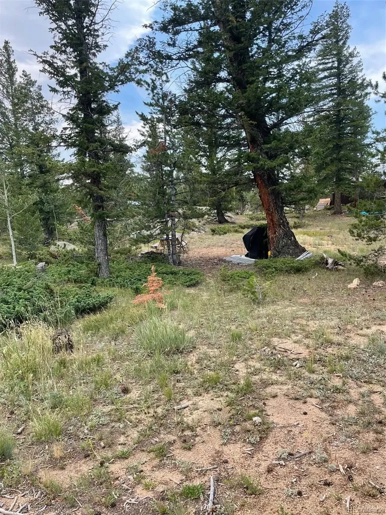 247 Sutiki Drive Red Feather Lakes CO 80545