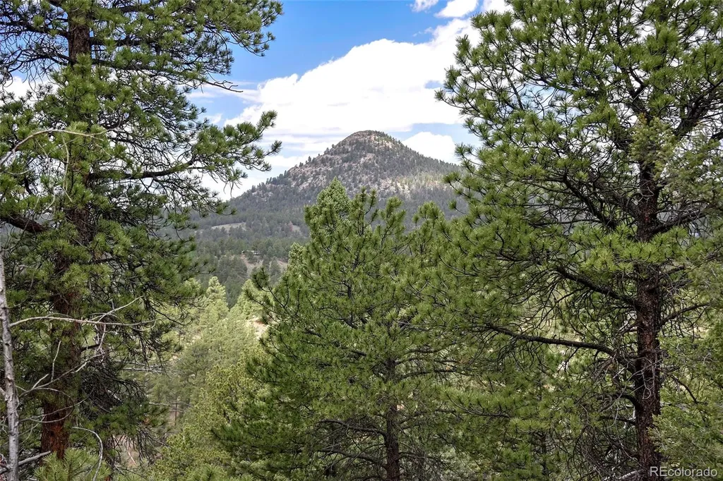293 Badger Trail Florissant CO 80816