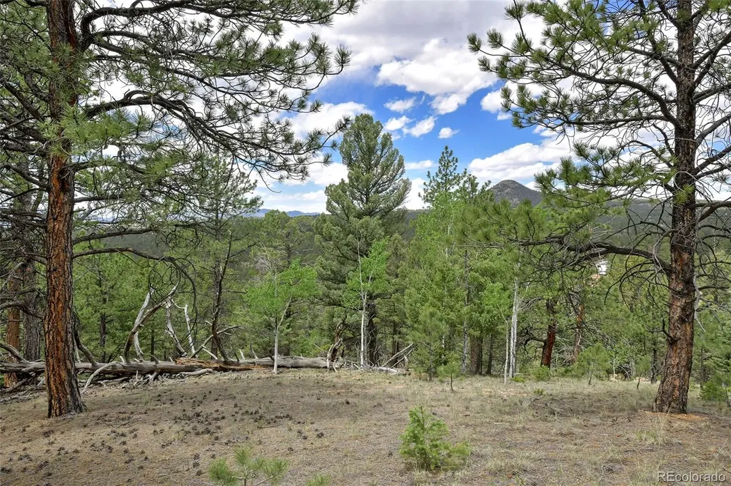 293 Badger Trail Florissant CO 80816