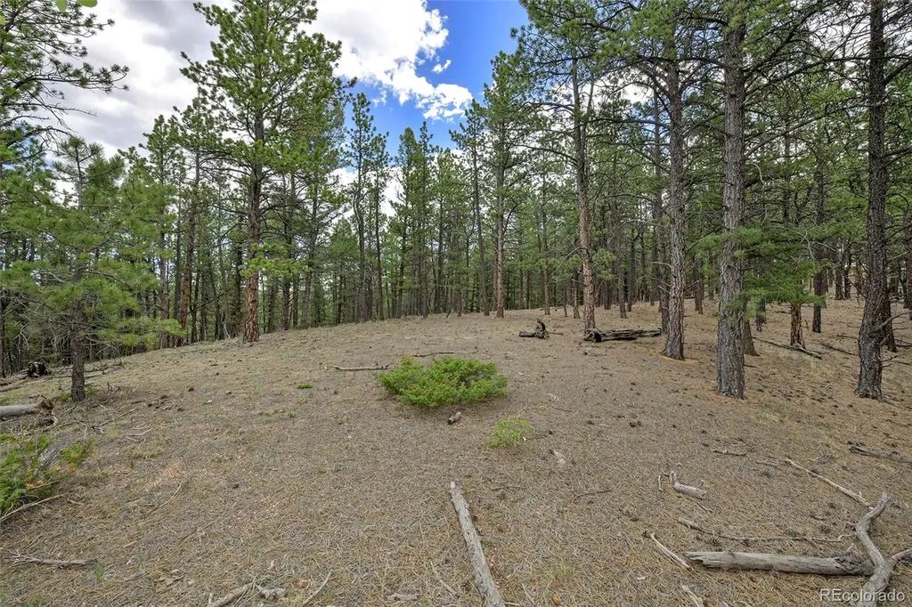 293 Badger Trail Florissant CO 80816