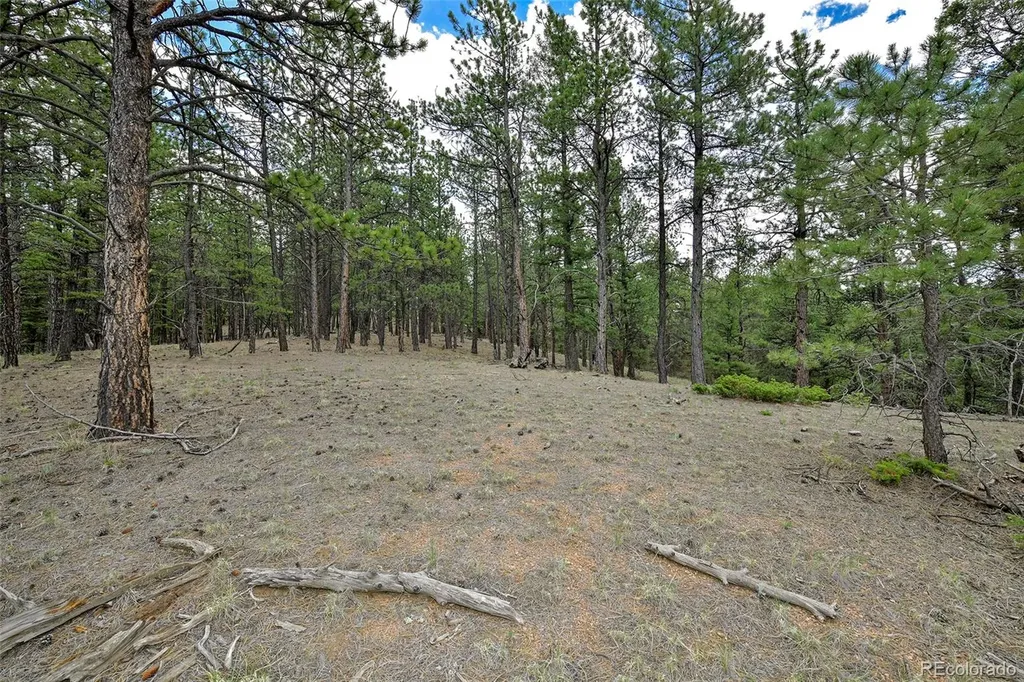 293 Badger Trail Florissant CO 80816