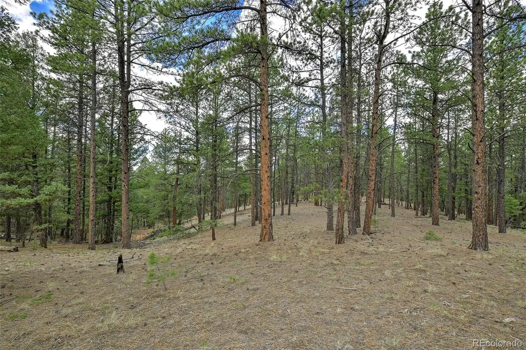 293 Badger Trail Florissant CO 80816